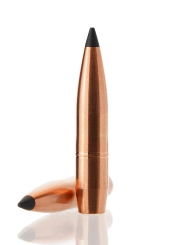 lzr_308_200_max-s_1.jpg