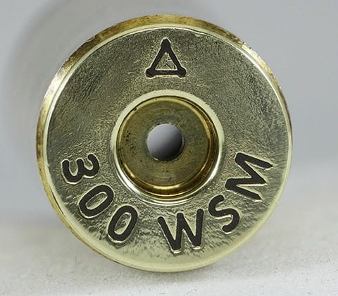 300WSM-HS-480x420-1.jpg