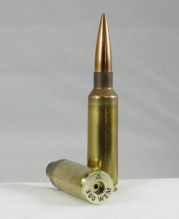 300WSM-Dual-980x1200-1-841x1030.jpg