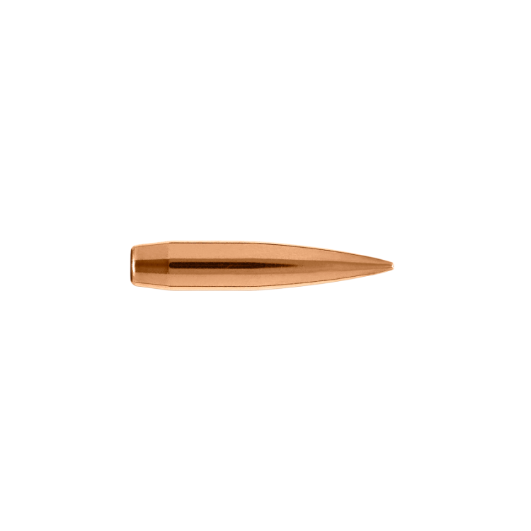 22485_22_Caliber_85.5_Grain_Long_Range_Hybrid_Target.png