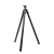 EU2012668_001_l.webp