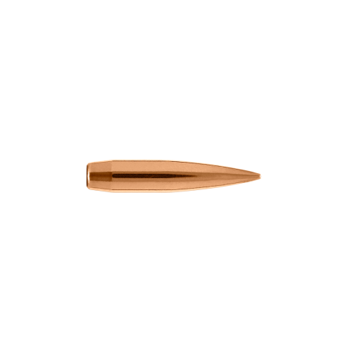 22485_22_Caliber_85.5_Grain_Long_Range_Hybrid_Target.png
