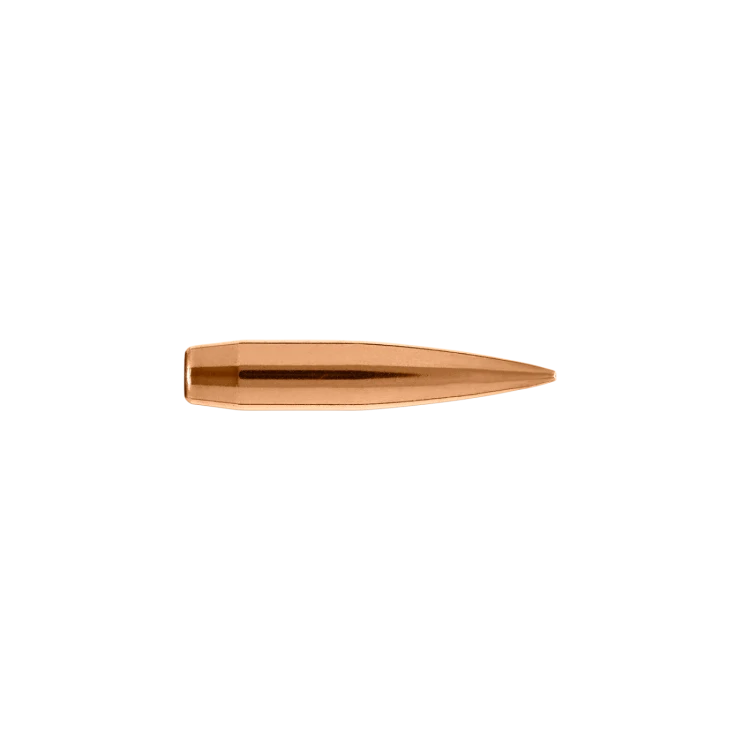 22485_22_Caliber_85.5_Grain_Long_Range_Hybrid_Target.png